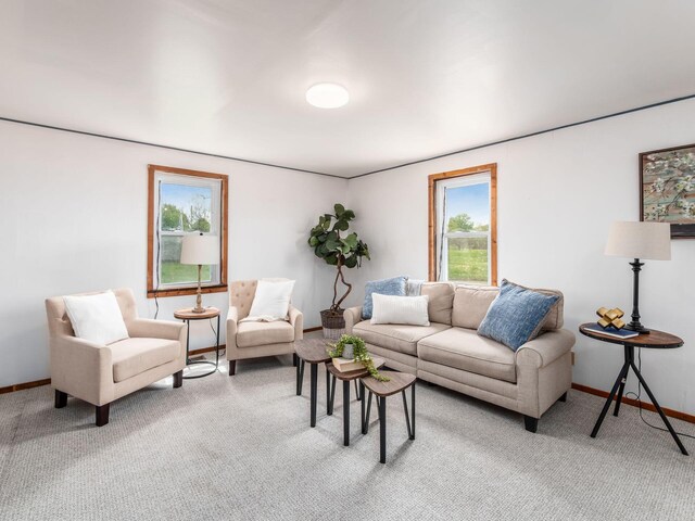 carpeted living area featuring baseboards