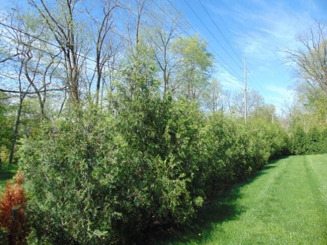 615 N Spruce St, Saint Marys, OH 45885 - photo 52