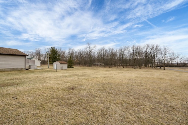 view of yard with an outbuilding and a storage unit