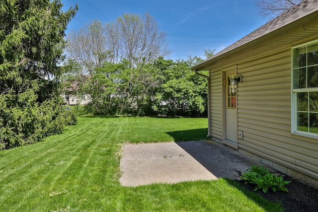 view of yard with a patio