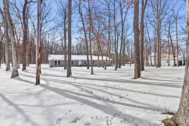 view of yard layered in snow