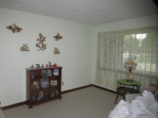 706 Lynwood St, Union City, OH 45390 - photo 13