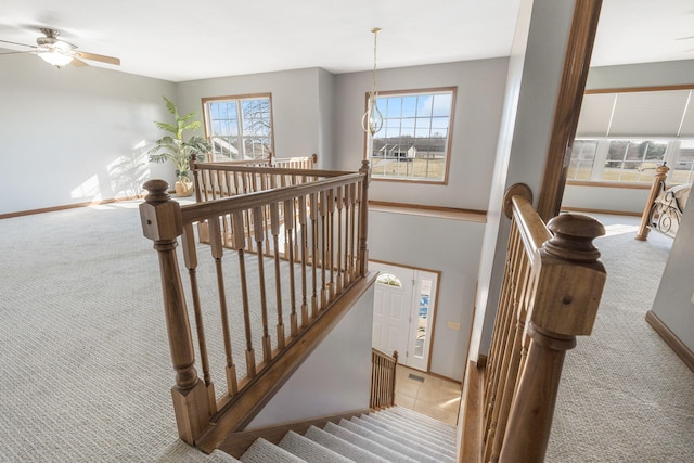 stairs featuring baseboards, carpet floors, and ceiling fan