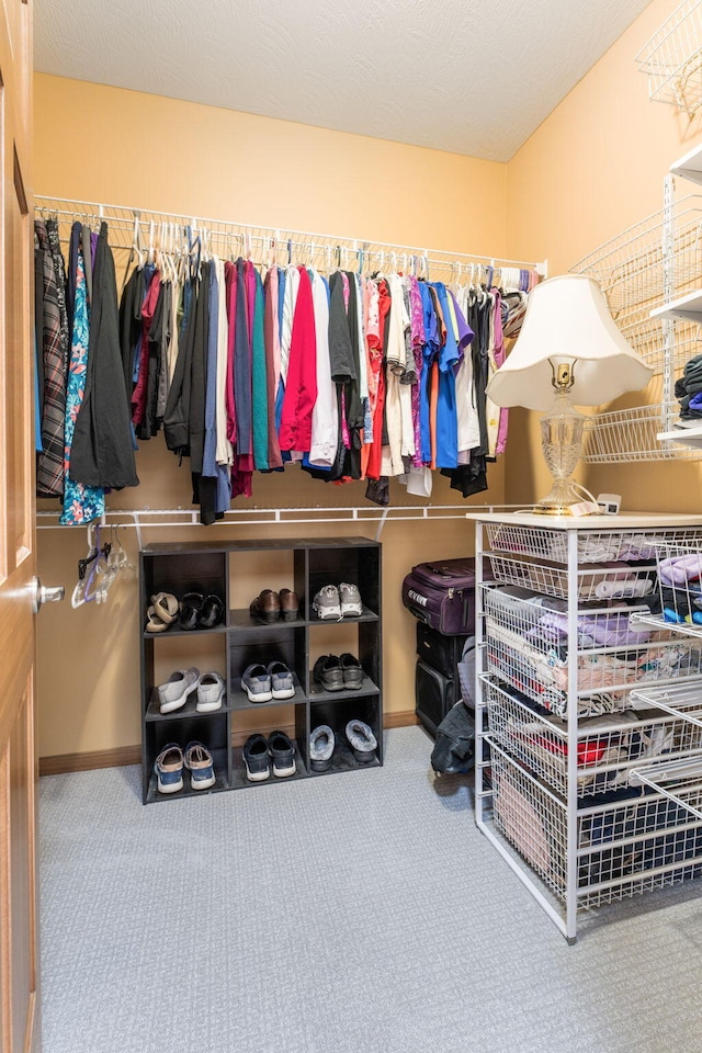 spacious closet featuring carpet floors