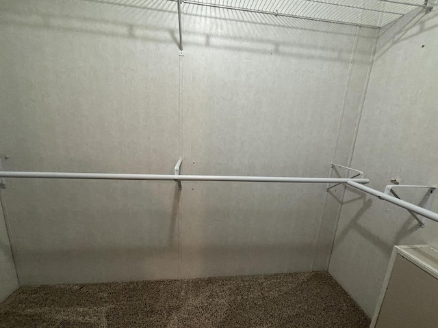 walk in closet featuring carpet