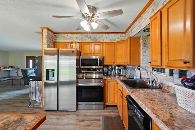 kitchen featuring ceiling fan, crown molding, a sink, light wood finished floors, and stainless steel appliances