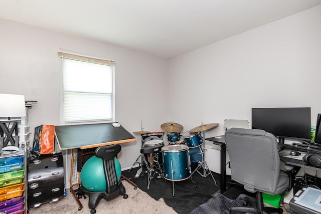 730 Maplecrest Dr, Troy, OH 45373 - office featuring carpet flooring