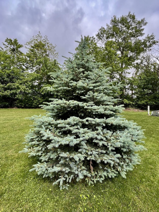 224 Oakcrest Ct, Russells Point, OH 43348 - view of grassy yard