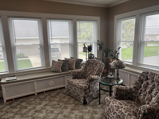 217 S 2nd St, Coldwater, OH 45828 - living area with plenty of natural light, crown molding, radiator heating unit, and carpet floors