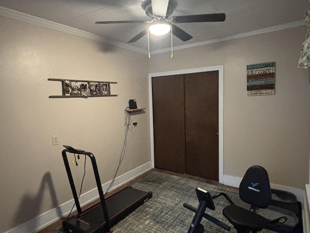 217 S 2nd St, Coldwater, OH 45828 - exercise room with baseboards, a ceiling fan, and ornamental molding