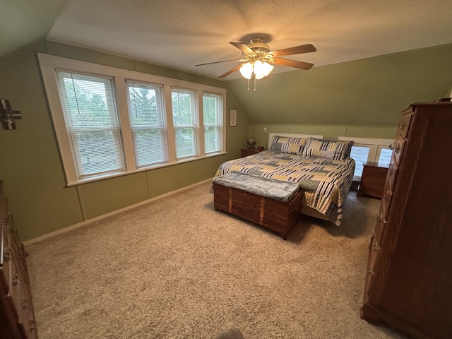 217 S 2nd St, Coldwater, OH 45828 - bedroom featuring lofted ceiling, carpet flooring, ceiling fan, and baseboards