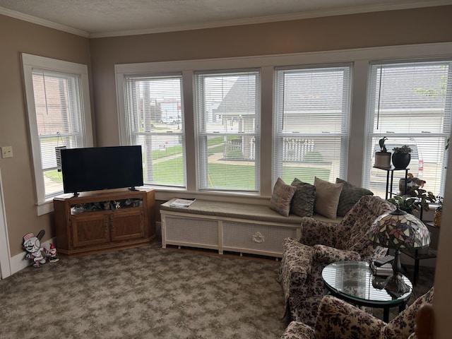 217 S 2nd St, Coldwater, OH 45828 - living area featuring carpet floors and crown molding