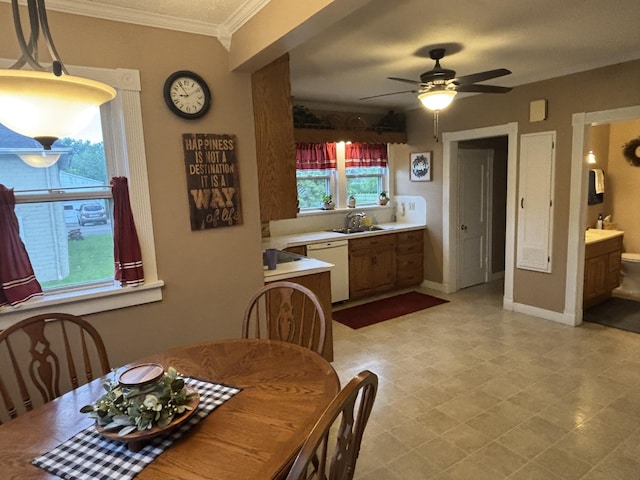 217 S 2nd St, Coldwater, OH 45828 - dining room with ornamental molding, ceiling fan, and baseboards