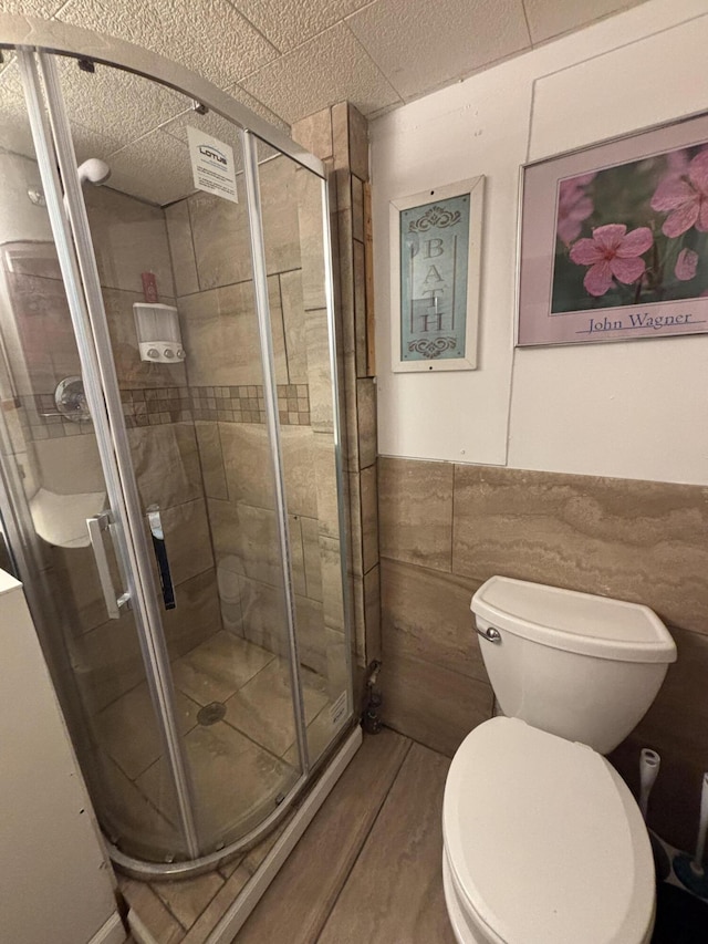 11188 Chickasaw Path, Lakeview, OH 43331 - bathroom featuring toilet, a shower stall, wood finished floors, and a wainscoted wall