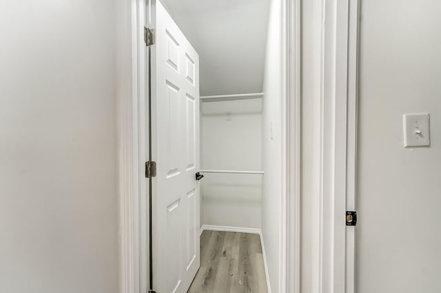 spacious closet featuring light hardwood / wood-style flooring