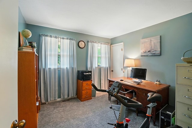 115 Deer Run Rd, Urbana, OH 43078 - view of carpeted home office