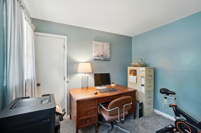 115 Deer Run Rd, Urbana, OH 43078 - office space with carpet floors and baseboards