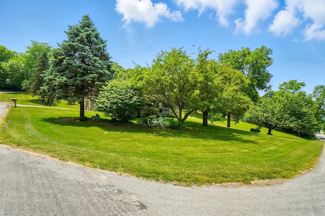 115 Deer Run Rd, Urbana, OH 43078 - view of home's community with a yard and view of wooded area