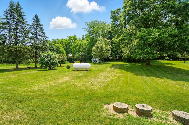 115 Deer Run Rd, Urbana, OH 43078 - view of grassy yard with a storage unit
