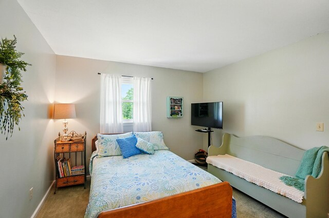 115 Deer Run Rd, Urbana, OH 43078 - carpeted bedroom featuring baseboards