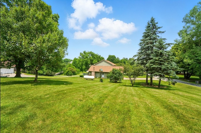 115 Deer Run Rd, Urbana, OH 43078 - view of green lawn