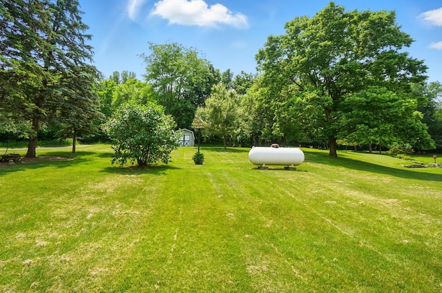 115 Deer Run Rd, Urbana, OH 43078 - view of grassy yard with a storage shed and view of wooded area