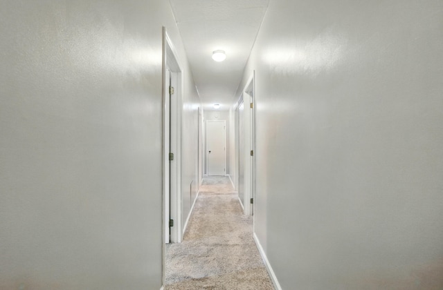 115 Deer Run Rd, Urbana, OH 43078 - hall with light colored carpet and baseboards