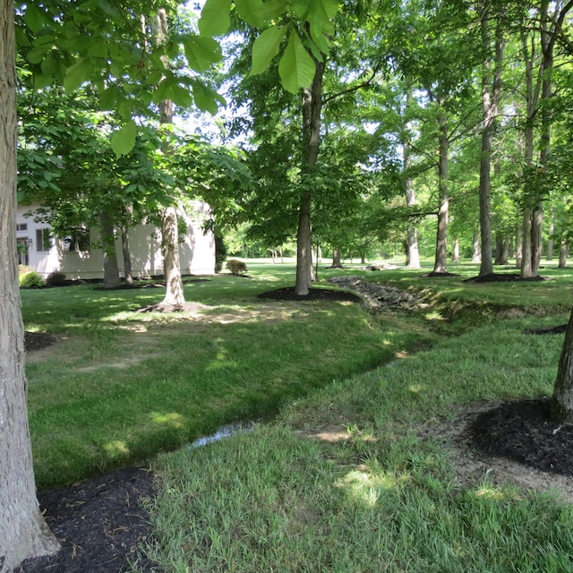 10207 Oak Creek Dr, Sidney, OH 45365 - photo 12