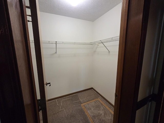 6708 Hillside Ct, Celina, OH 45822 - spacious closet featuring carpet flooring
