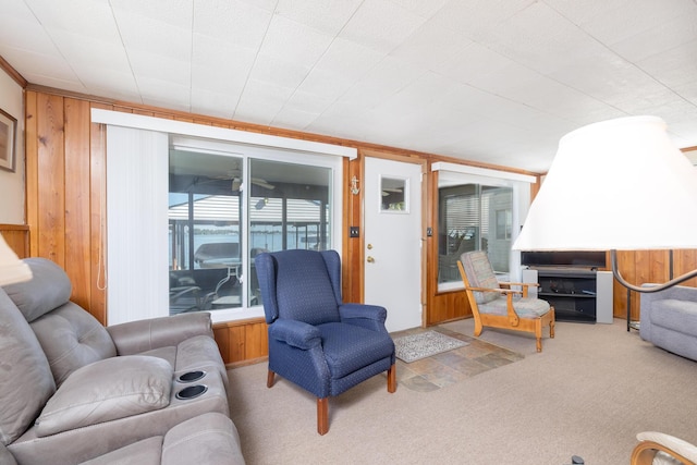 7535 Township Rd 269, Russells Point, OH 43348 - living area with carpet and wooden walls