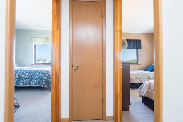 7535 Township Rd 269, Russells Point, OH 43348 - hallway featuring carpet and healthy amount of natural light