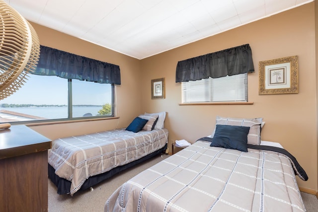 7535 Township Rd 269, Russells Point, OH 43348 - carpeted bedroom with multiple windows