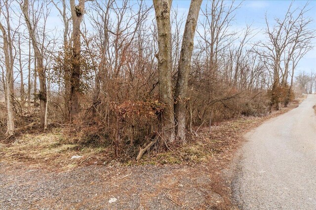8676 Sidney St, Saint Paris, OH 43072 - photo 34