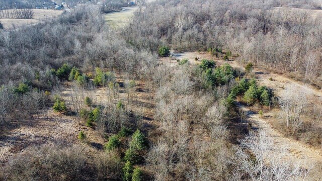 8676 Sidney St, Saint Paris, OH 43072 - photo 28