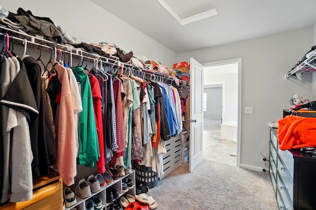 1087 Ayrshire Dr, Columbus, OH 43207 - walk in closet featuring attic access and carpet floors