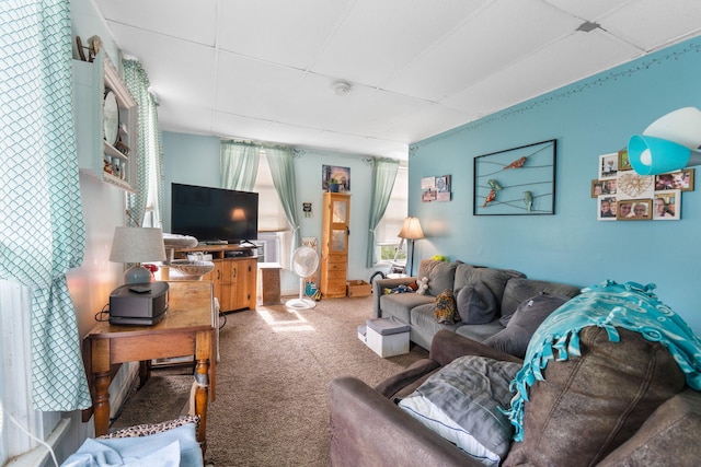 living room featuring carpet flooring and a drop ceiling