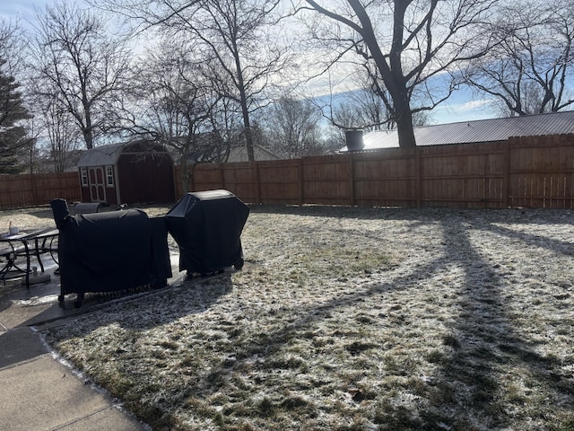 view of yard featuring a shed