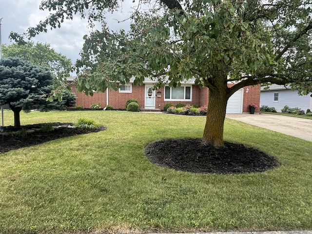 212 Terrace Ave, Coldwater, OH 45828 - photo 3