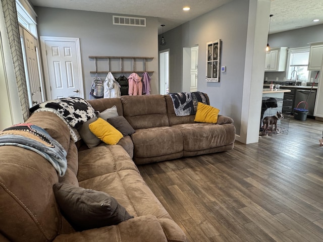 living room with sink, dark wood-type flooring, and a textured ceiling