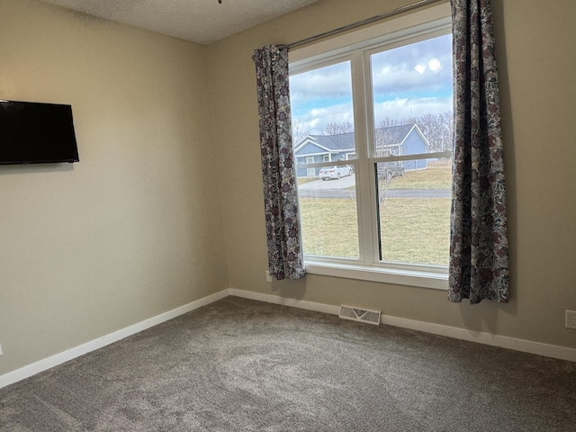 unfurnished room featuring carpet and a textured ceiling