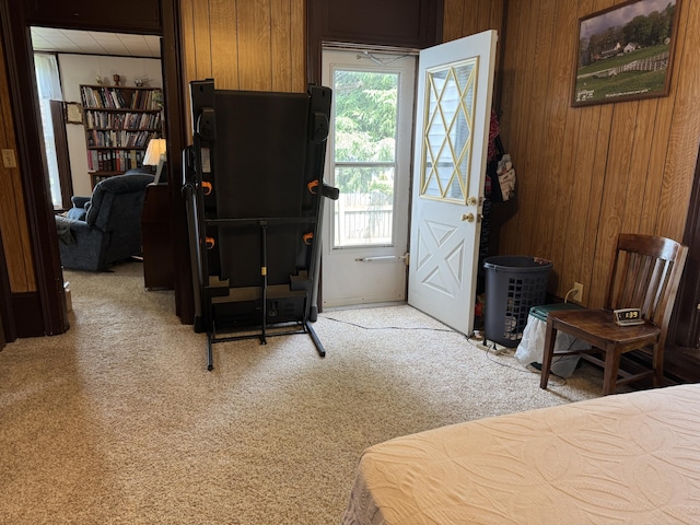210 E Second St, Rockford, OH 45882 - bedroom with light carpet, wooden walls, and multiple windows