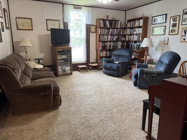 210 E Second St, Rockford, OH 45882 - carpeted living room featuring a ceiling fan
