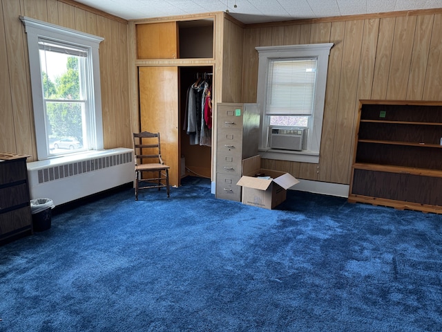 210 E Second St, Rockford, OH 45882 - bedroom with radiator heating unit, cooling unit, carpet, wood walls, and a closet