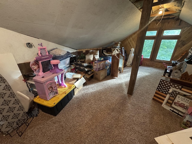 18866 Weimert School Rd, Wapakoneta, OH 45895 - additional living space with vaulted ceiling, carpet flooring, and wooden walls