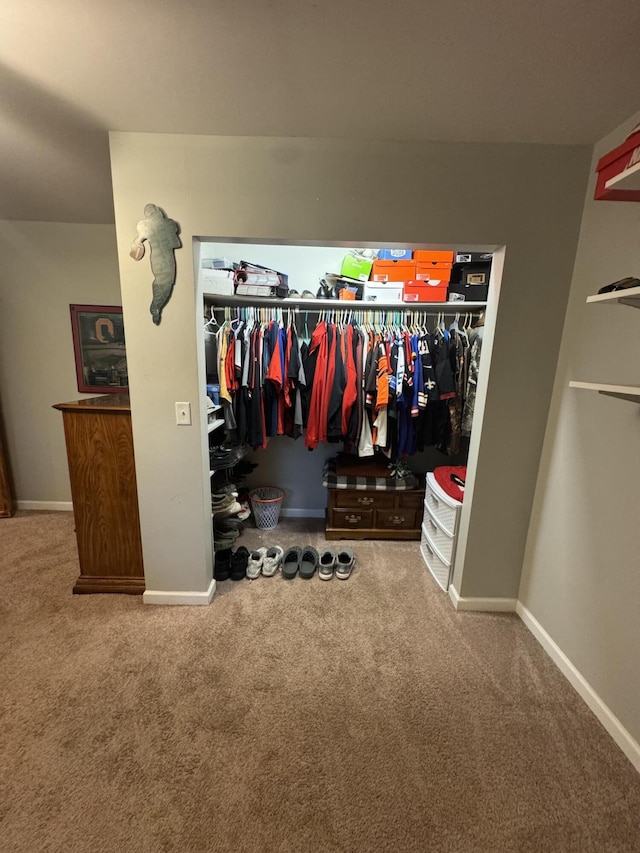 18866 Weimert School Rd, Wapakoneta, OH 45895 - spacious closet featuring carpet flooring