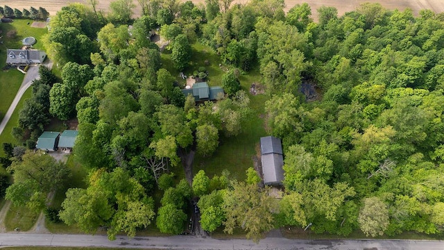 18866 Weimert School Rd, Wapakoneta, OH 45895 - bird's eye view