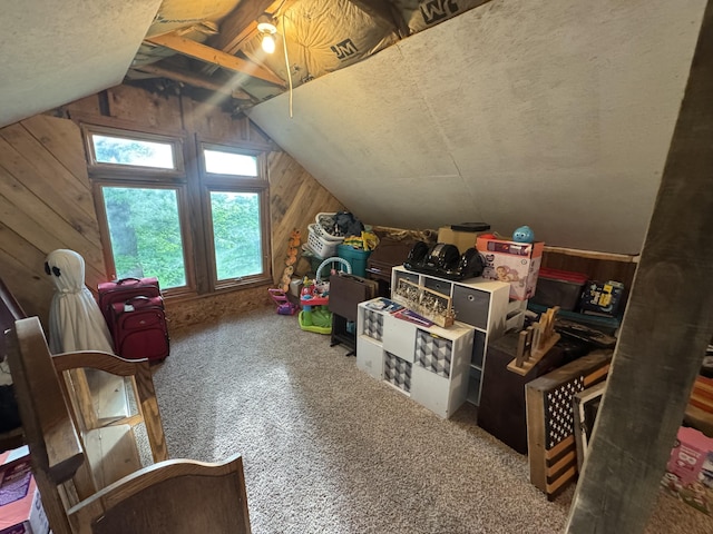 18866 Weimert School Rd, Wapakoneta, OH 45895 - view of unfinished attic
