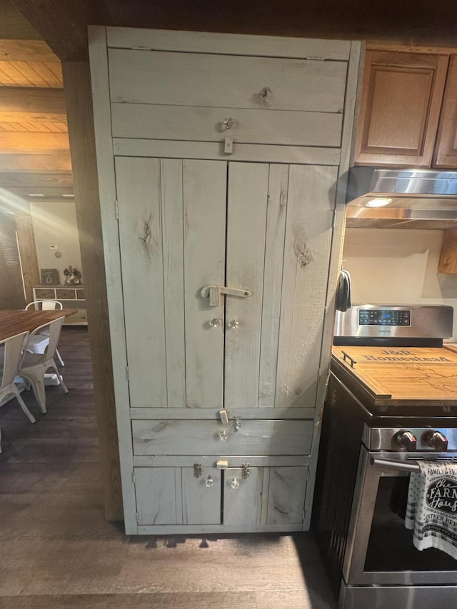 18866 Weimert School Rd, Wapakoneta, OH 45895 - kitchen view of stainless steel range, under cabinet range hood, and light wood-style flooring
