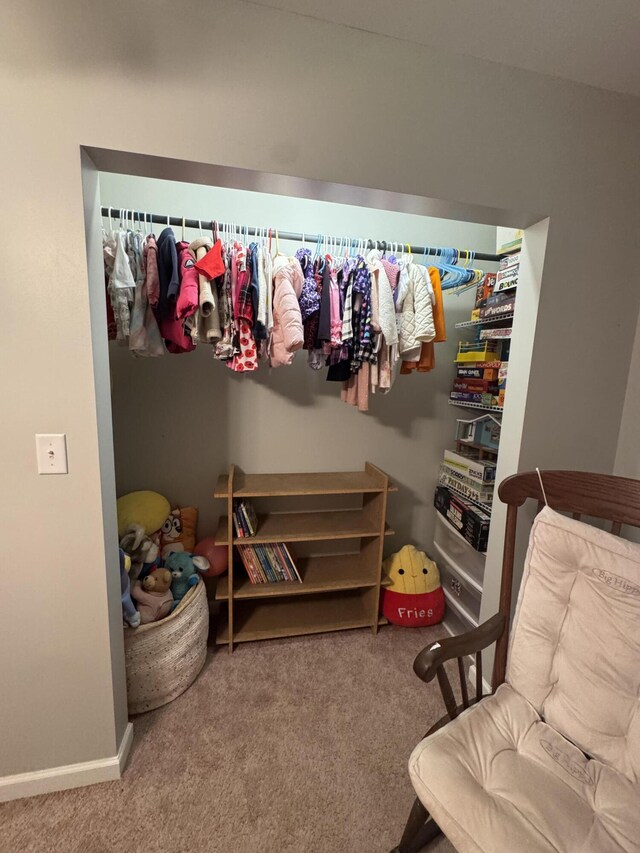 18866 Weimert School Rd, Wapakoneta, OH 45895 - view of closet