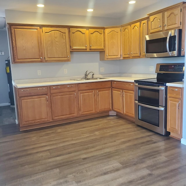 kitchen with sink, stainless steel appliances, and dark hardwood / wood-style flooring